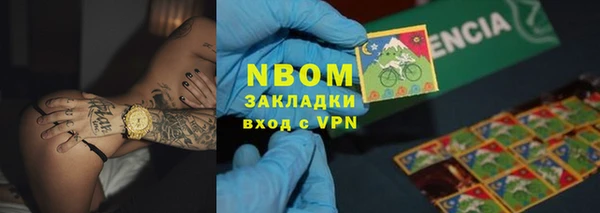 шишки Алексин